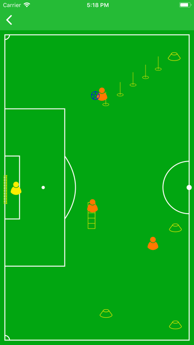 Football Team Assistant screenshot 4