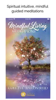 mindful living meditations problems & solutions and troubleshooting guide - 2