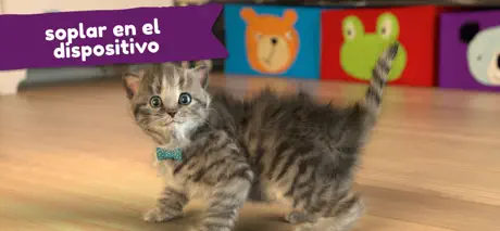 Little Kitten Juego de Gato 3D