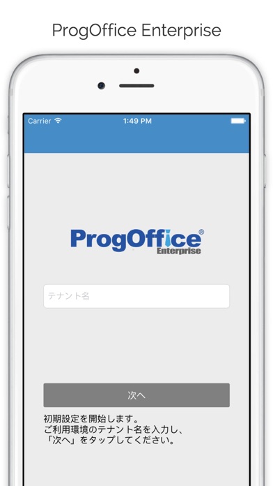 ProgOfficeEnterprise screenshot1