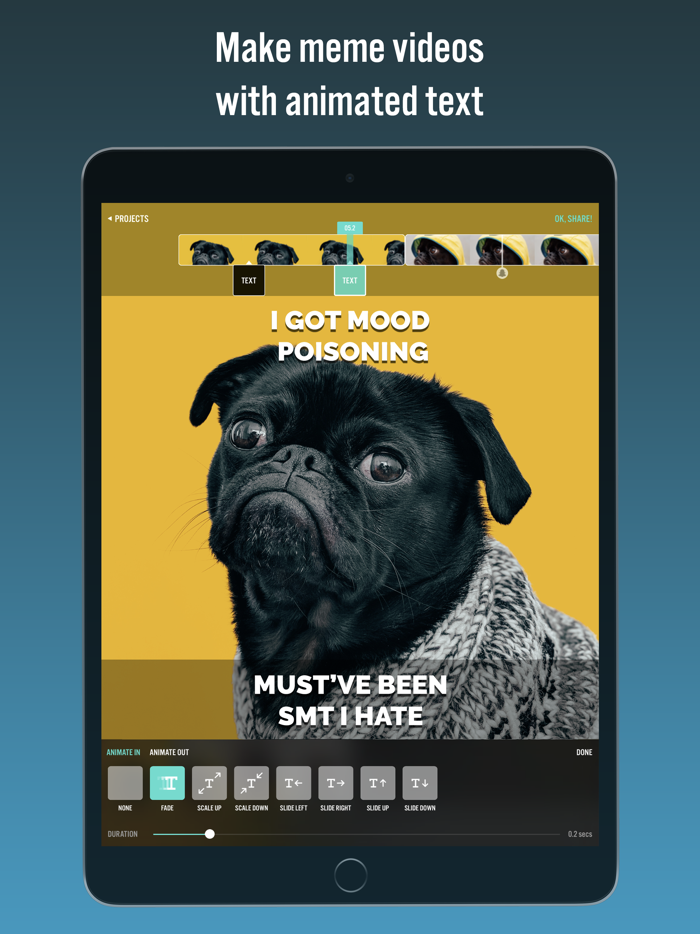 Videorama Text and Video Editor