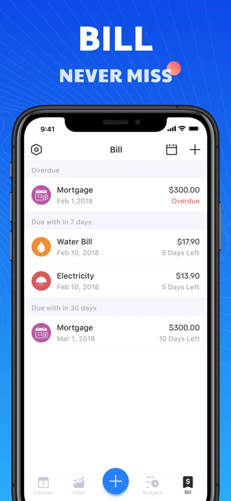 Pocket Expense 6