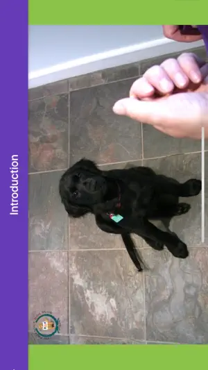 Basic Dog Training screenshot 4