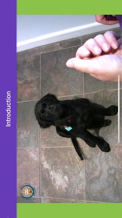 Basic Dog Training screenshot-3