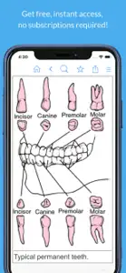 Dental Dictionary by Farlex screenshot #4 for iPhone