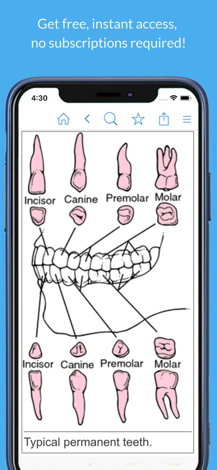 Dental Dictionary by Farlex