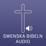 Swedish Bible Audio на пк