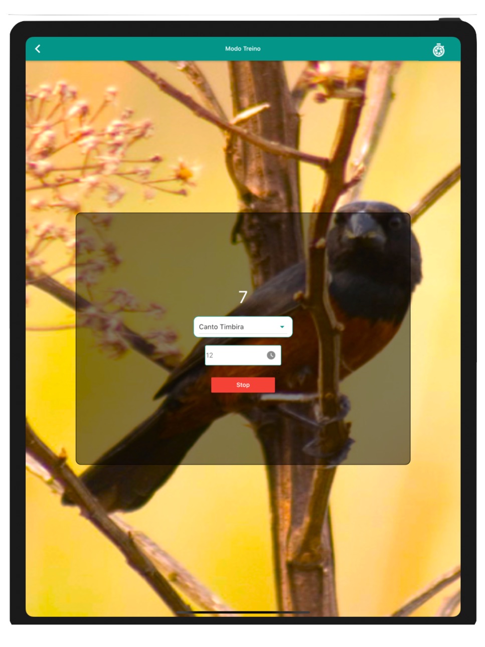 iPad screenshot