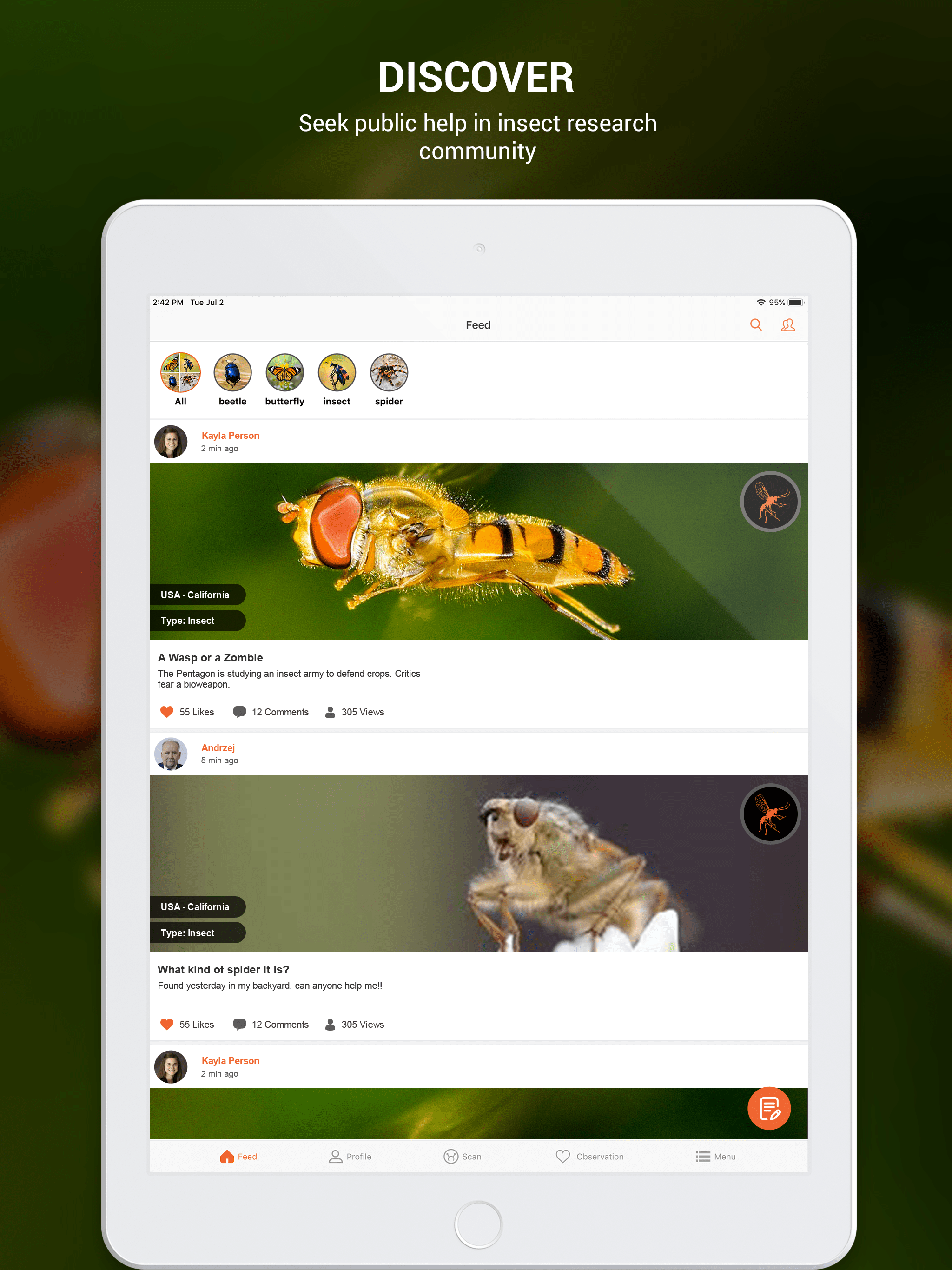 Insect identifier by photo