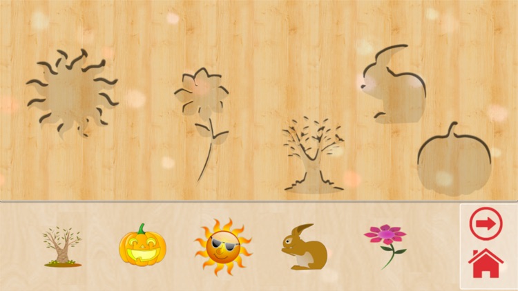 Kids Picture Match screenshot-5