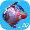 App icon: Anatomy Human Eye