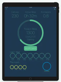 Pedometer ٞ screenshot 11