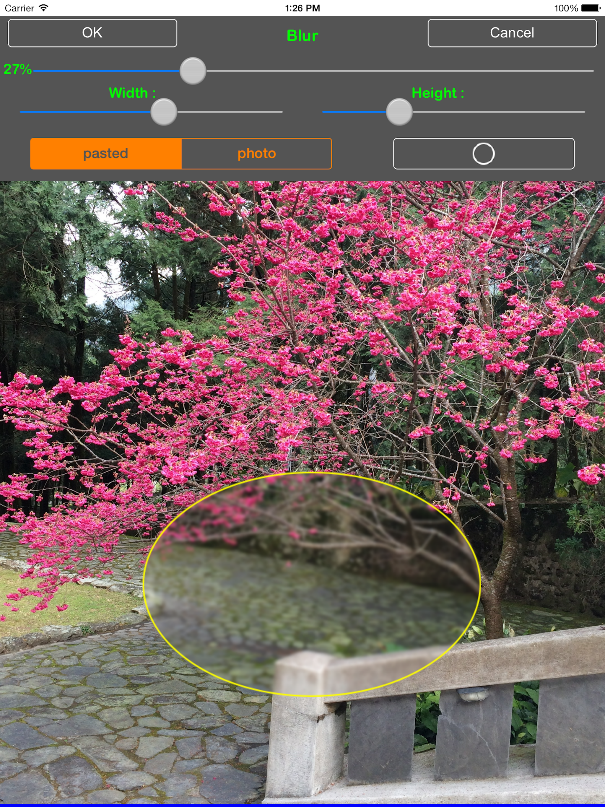 TC Photo Editor