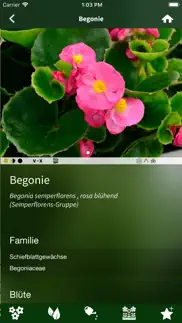 der pflanzen-profi iphone screenshot 2