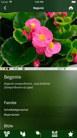 Game screenshot Der Pflanzen-Profi apk