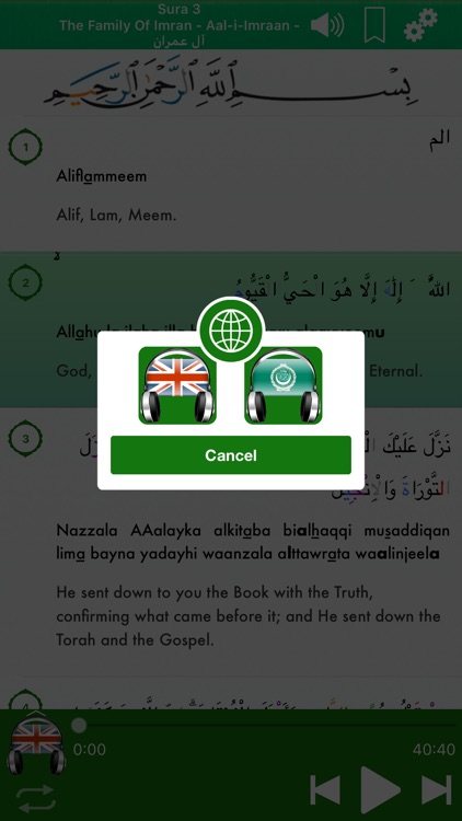Quran Audio mp3 in English screenshot-3
