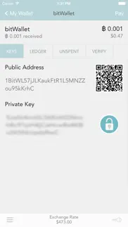 bitwallet™ — bitcoin wallet iphone screenshot 4