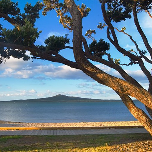 A story of Ngāti Whātua Ōrakei icon