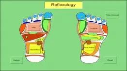 treat your feet - reflexology problems & solutions and troubleshooting guide - 3