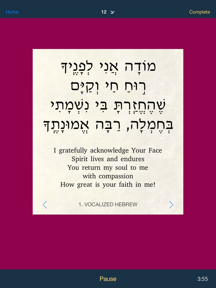 Shefa Flavors of Gratefulness