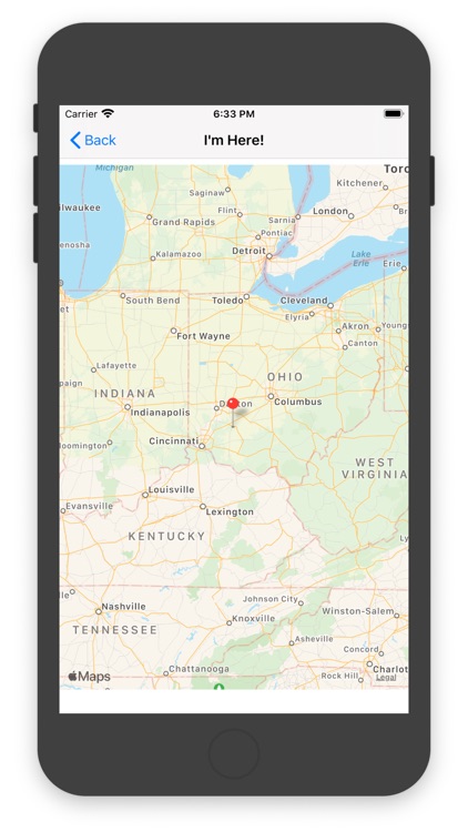 Adoptable Cat For You!