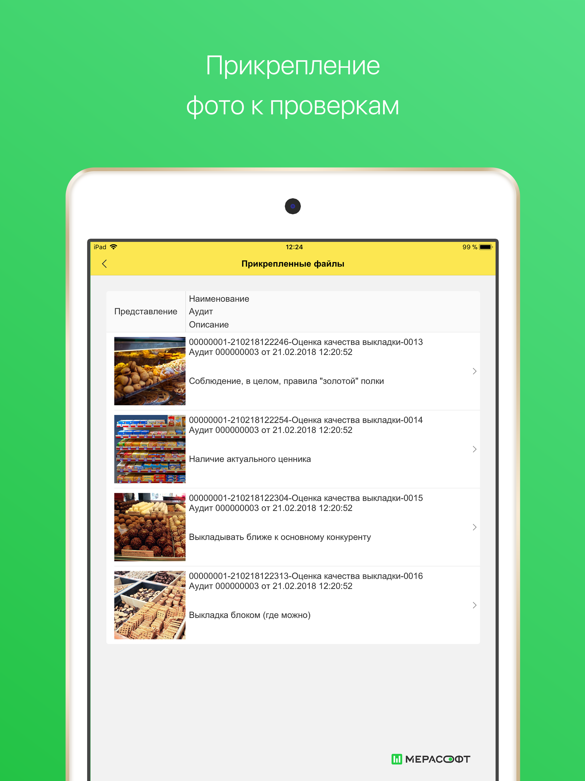 Мерасофт Полка screenshot 9