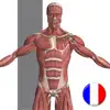 Anatomie Visuel App Positive Reviews