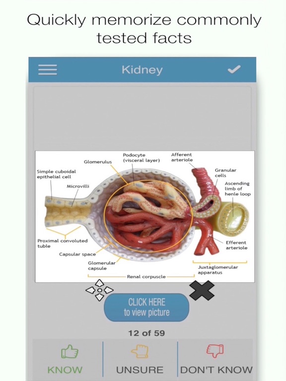 Screenshot #4 pour ADAT Biochemistry Cram Cards