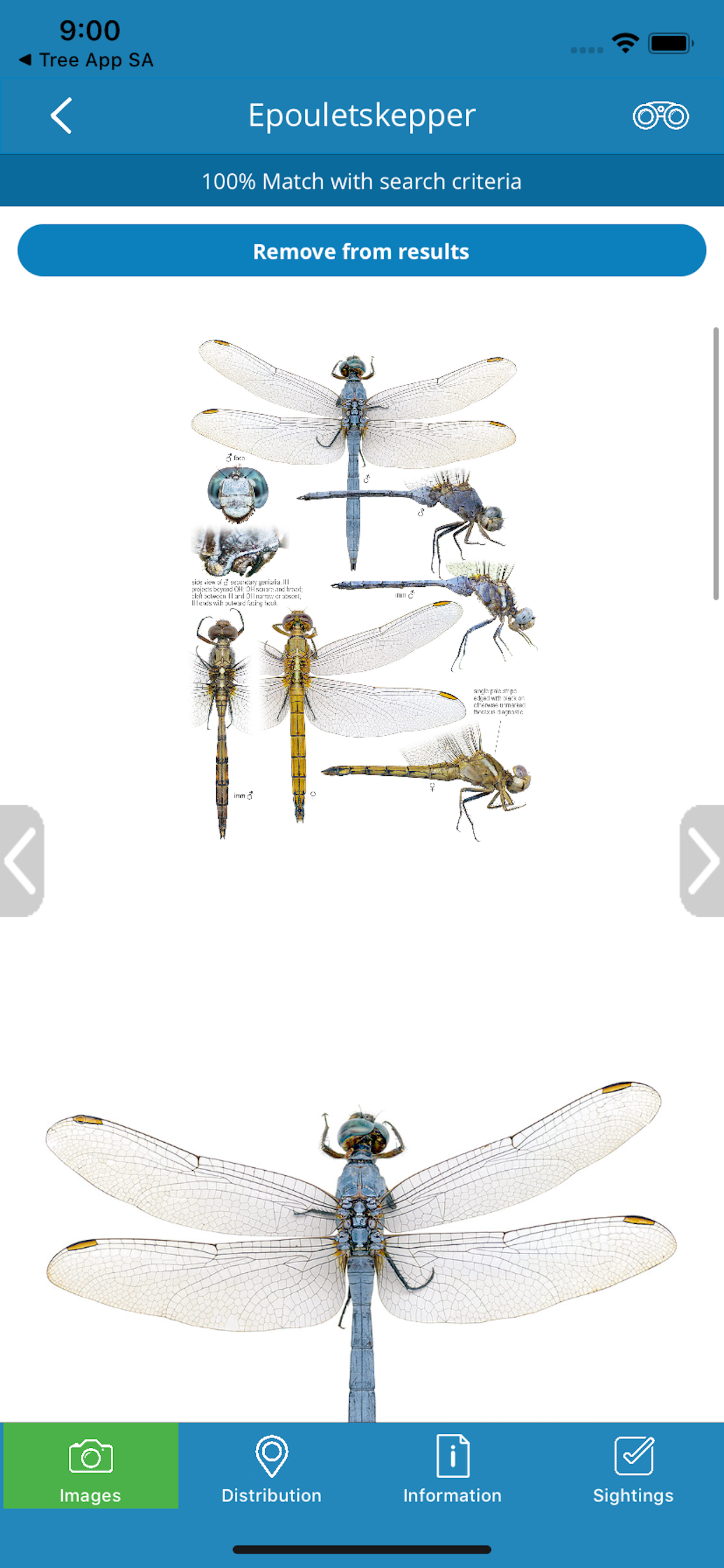 DragonflyPro screenshot 5
