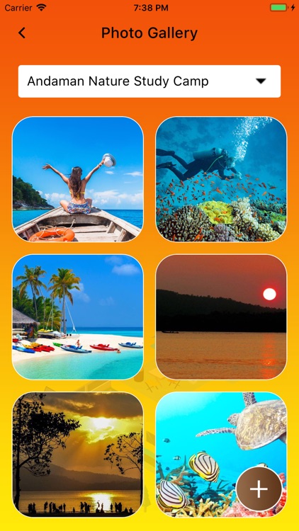 Holiday Camp Organizer's Kit screenshot-9