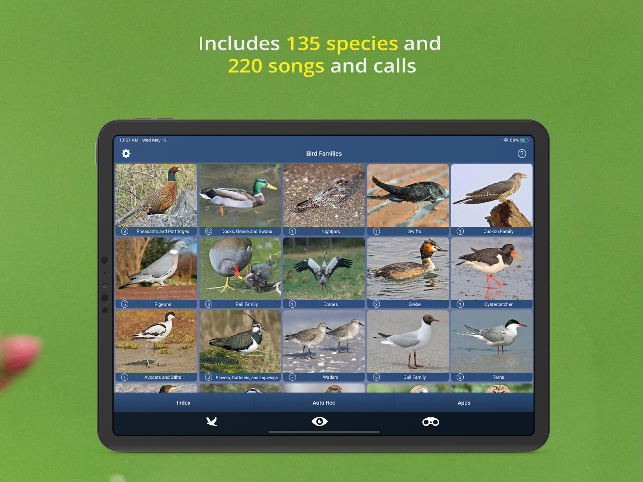 Bird Song Id UK