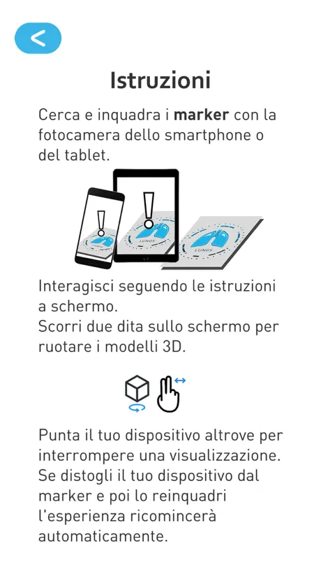 Gestograma