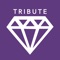 Tribute mobile application is a responsive and user friendly application dedicated for our distributor’s to place orders from our range of superior quality products and also enroll new downline and get instant order confirmation