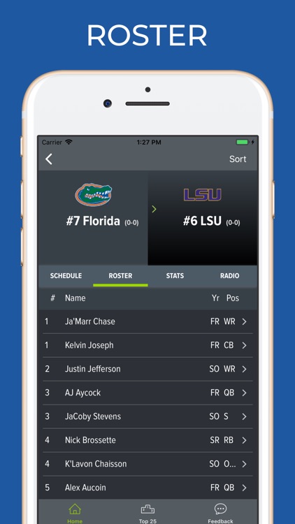 LSU Football Schedules
