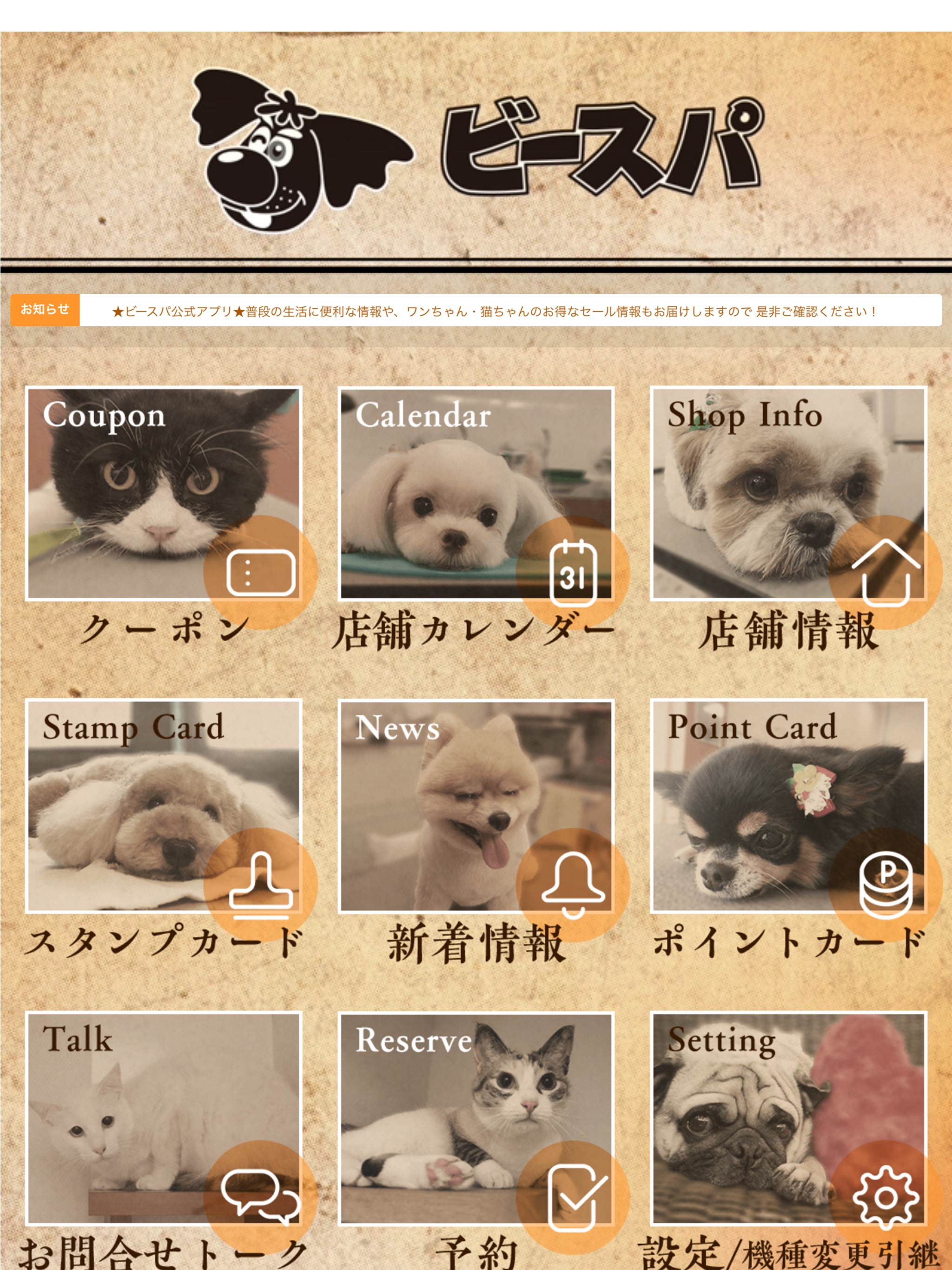 ペットサロン「ビースパ」