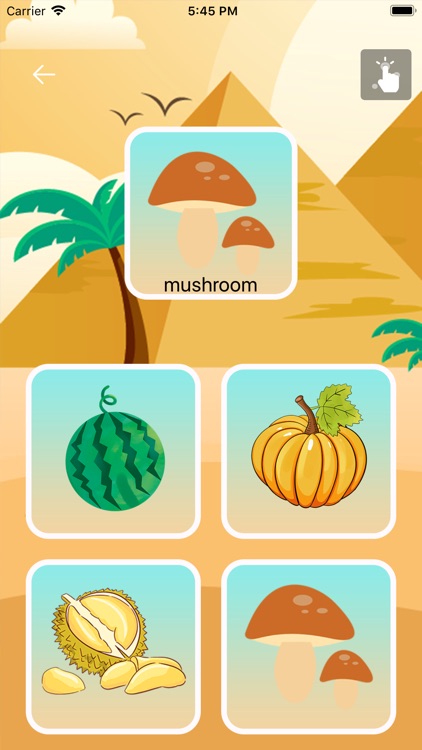 EnPyramid screenshot-3