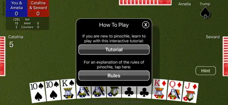Pinochle Classic