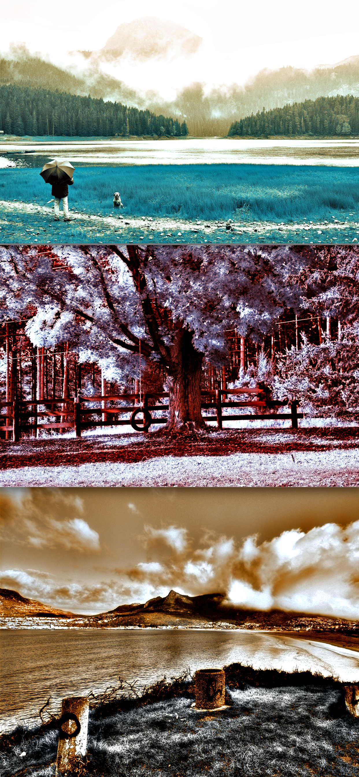 NIR Color screenshot 4