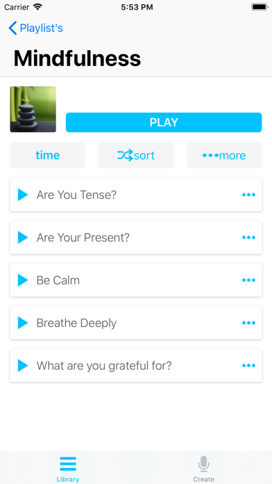 How to cancel & delete Pod Conscious Audio Reminders from iphone & ipad 4