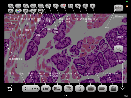 Screenshot #5 pour Kopa WiFi EDU
