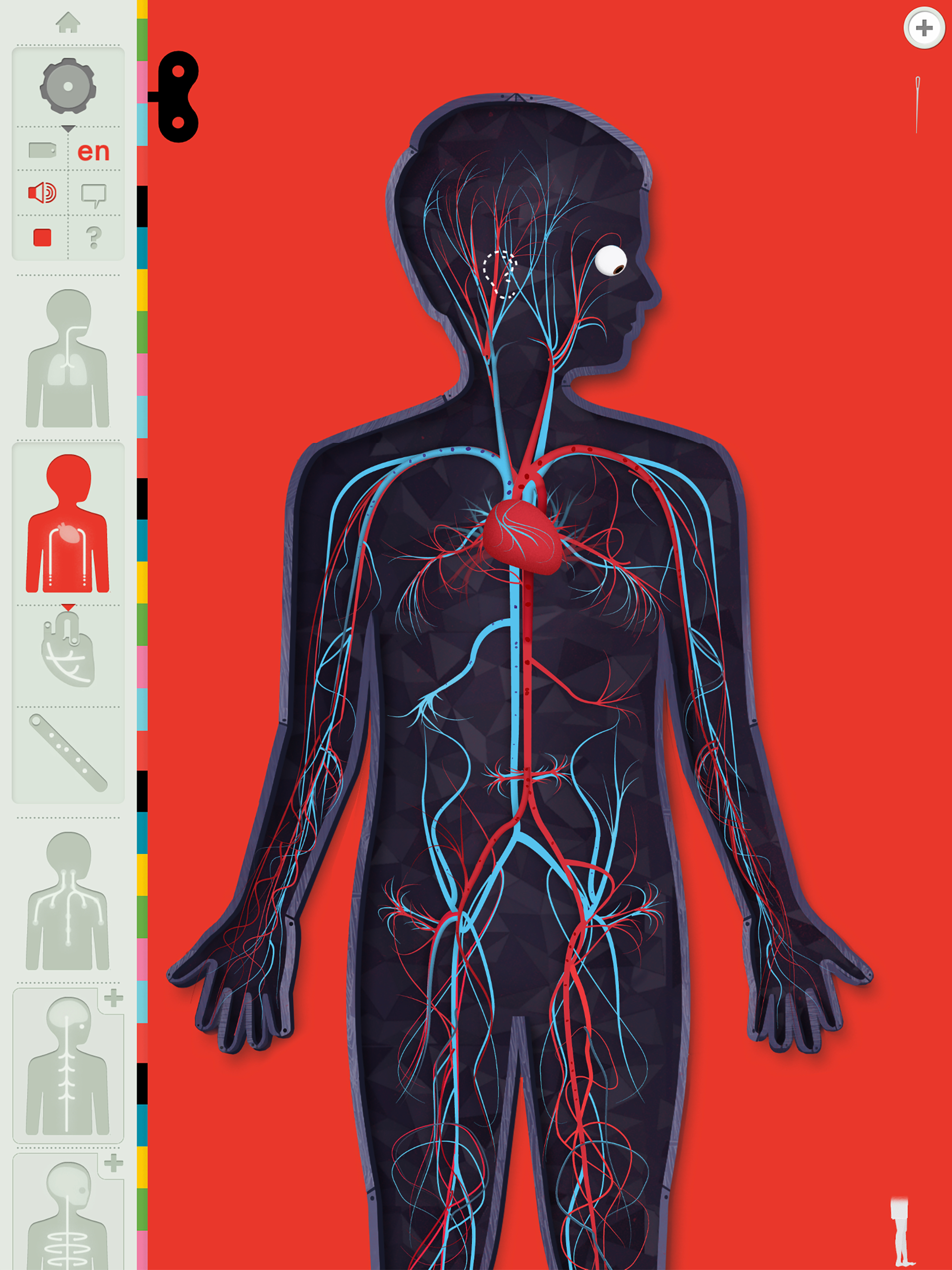 The Human Body Lite