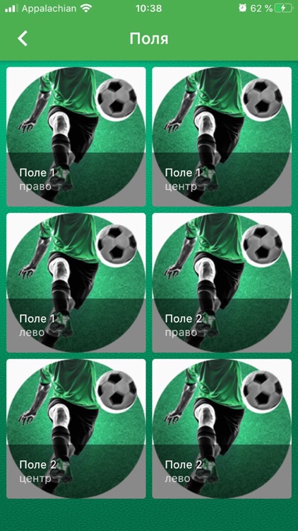 Lions Arena screenshot-3