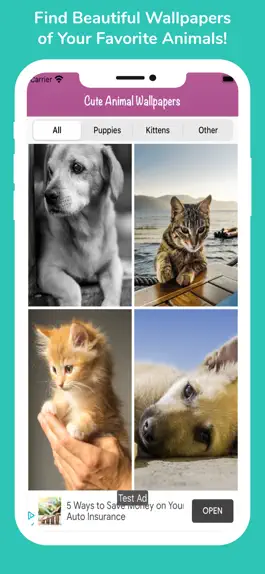 Game screenshot Cute Animal HD Wallpapers mod apk