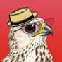 EFFIN BIRDS app download