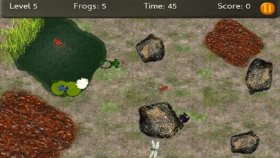 Baby Frogs - Frog Wrangling Screenshot