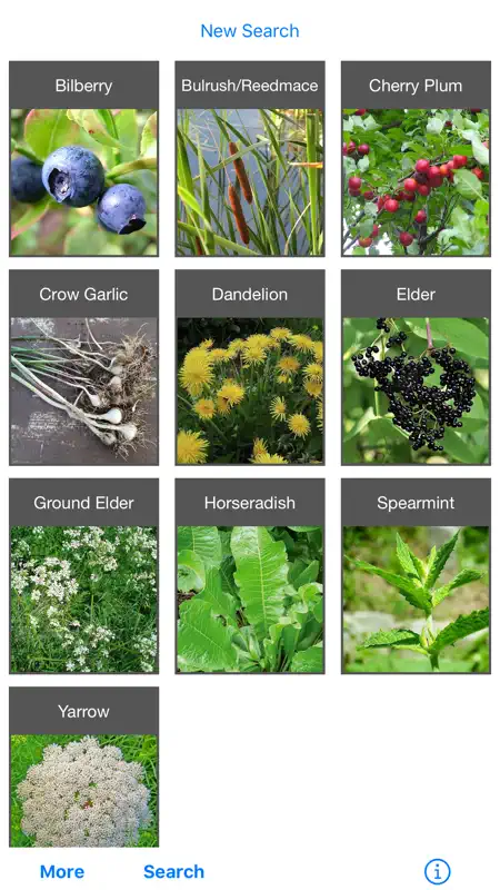 Forage - Wild Free Food screenshot 6 of 6