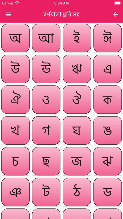 Bangla Learner AudioVisual App screenshot-3