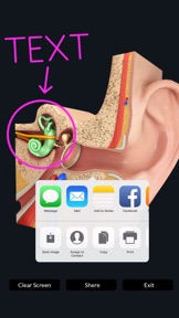 My Ear Anatomy screenshot