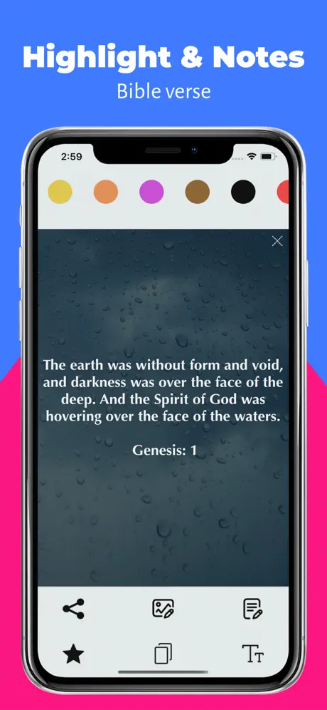 Message Bible (MSG) Offline