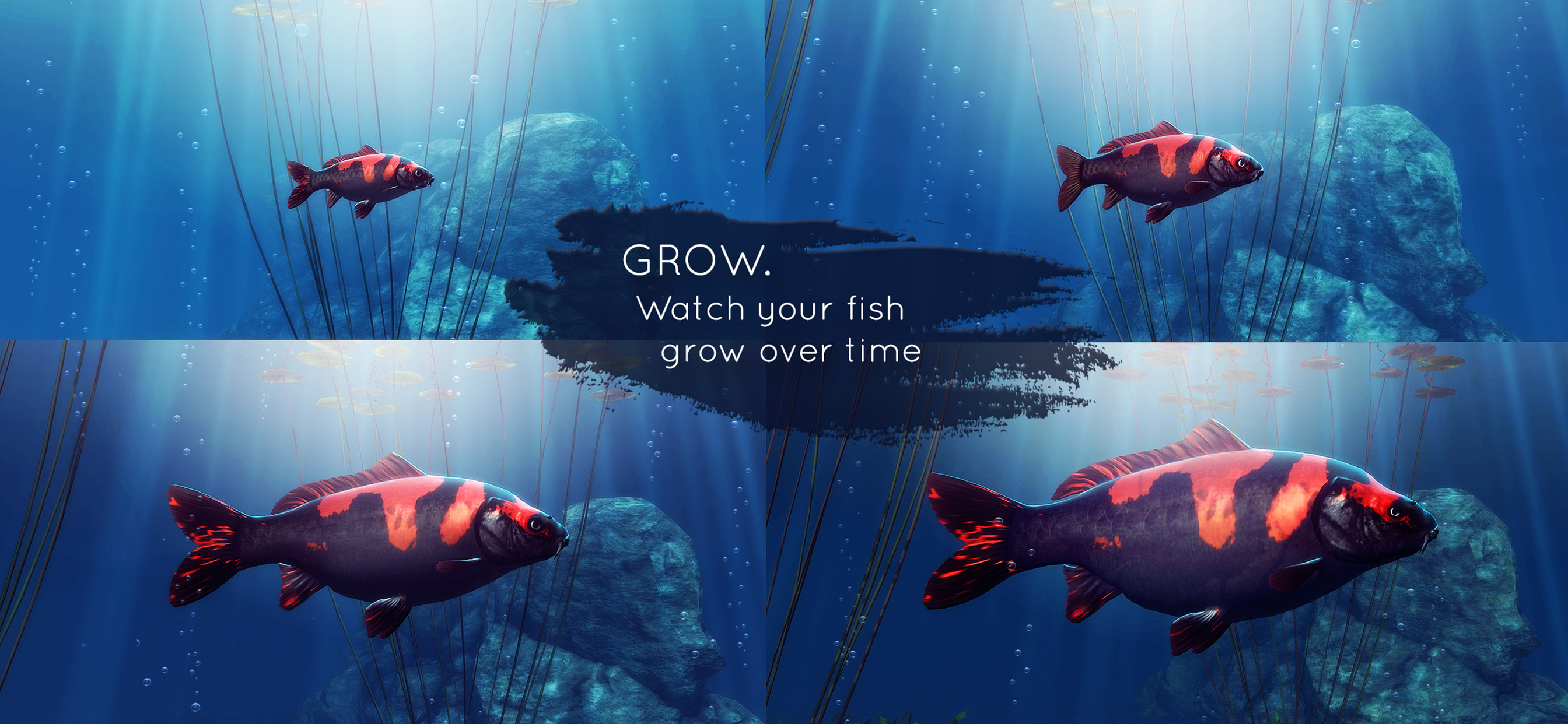 My Koi screenshot 5
